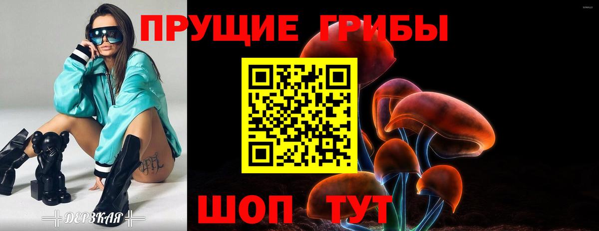 Псилоцибиновые грибы прущие грибы  Вход с VPN  Великий Новгород  Галлюциногенные грибы Psilocybine cubensis 