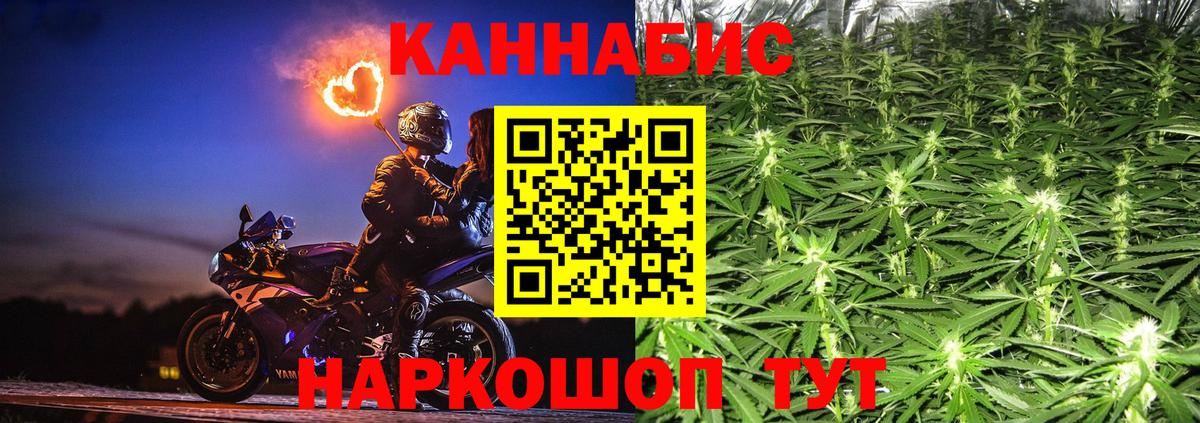 Конопля Bruce Banner Великий Новгород